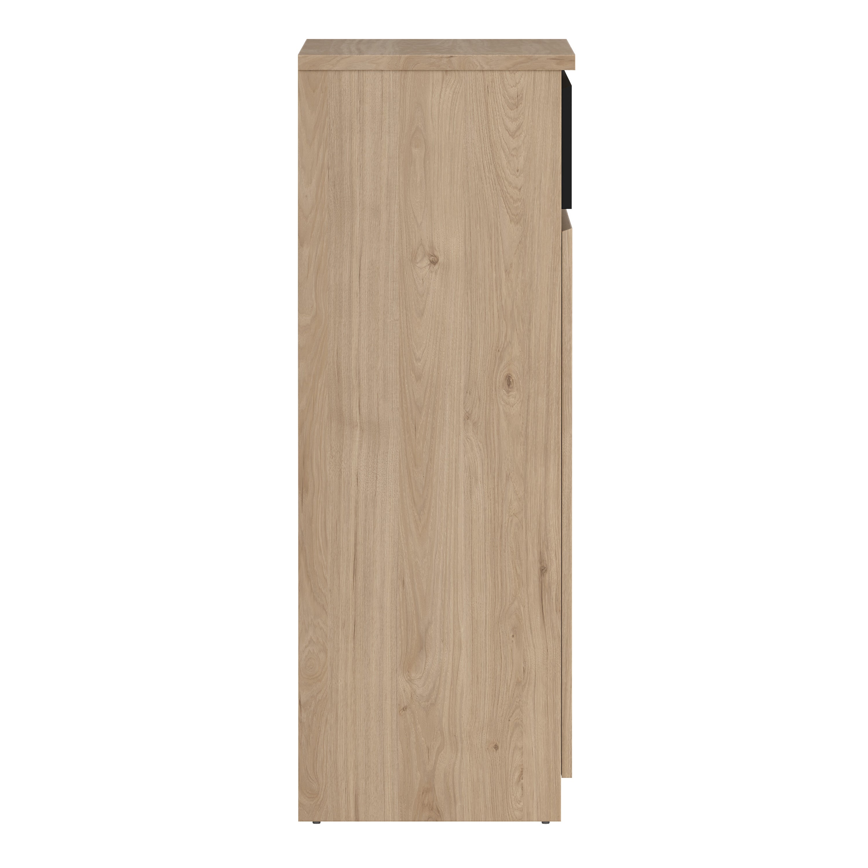Naia Shoe Cabinet with 2 Doors 1 Drawer in Jackson Hickory Oak and Black