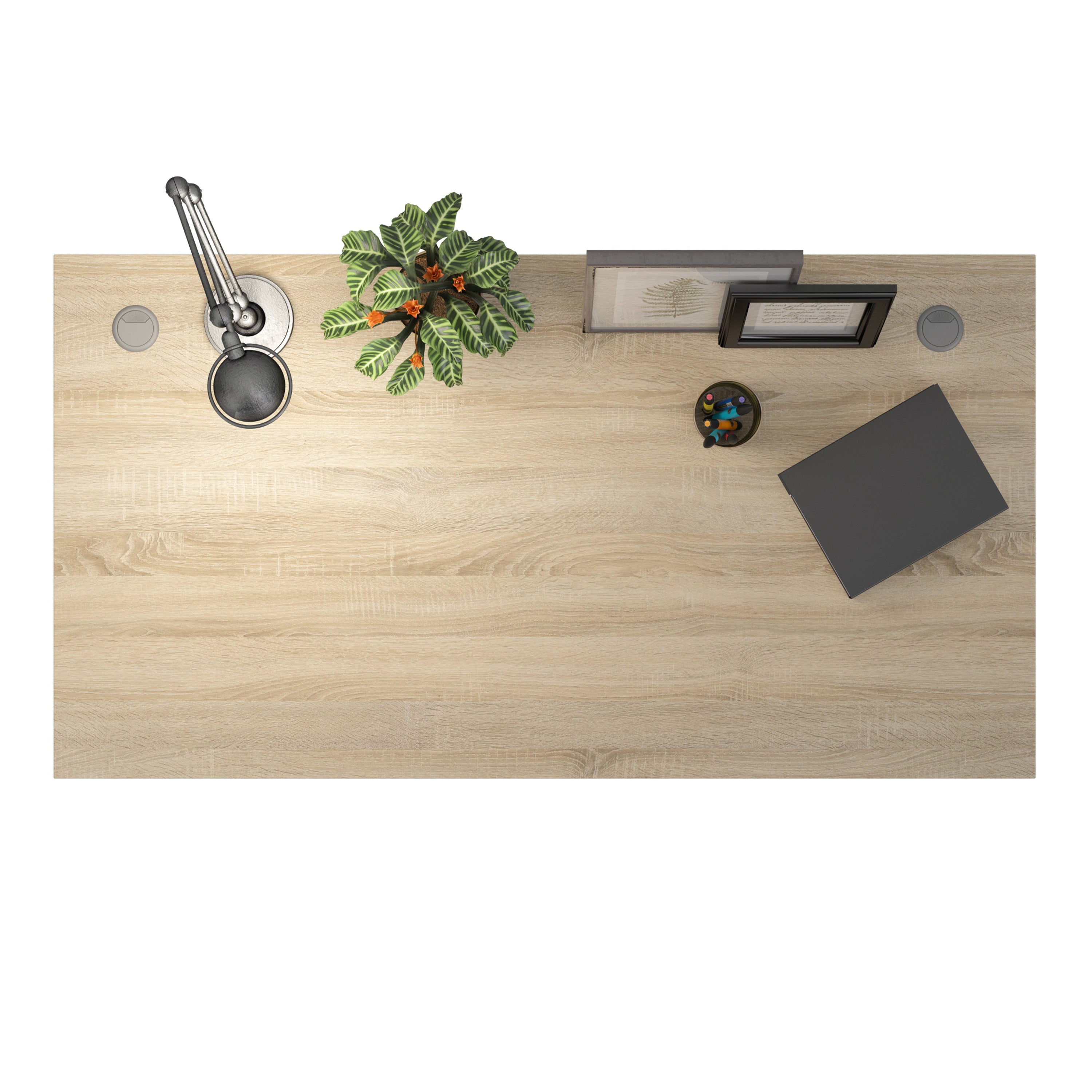 Prima Desk 150cm in Oak with Height Adjustable Legs with Electric Control in White